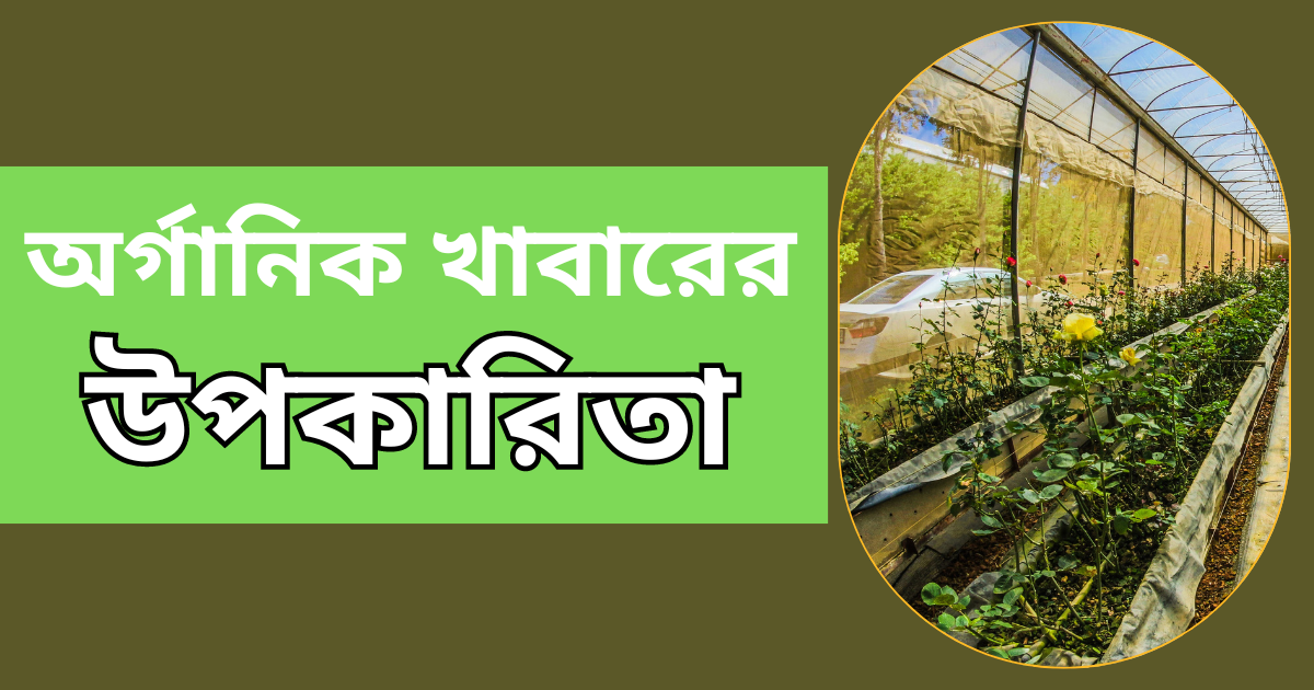 অর্গানিক খাবারের উপকারিতা Benefits of organic farming