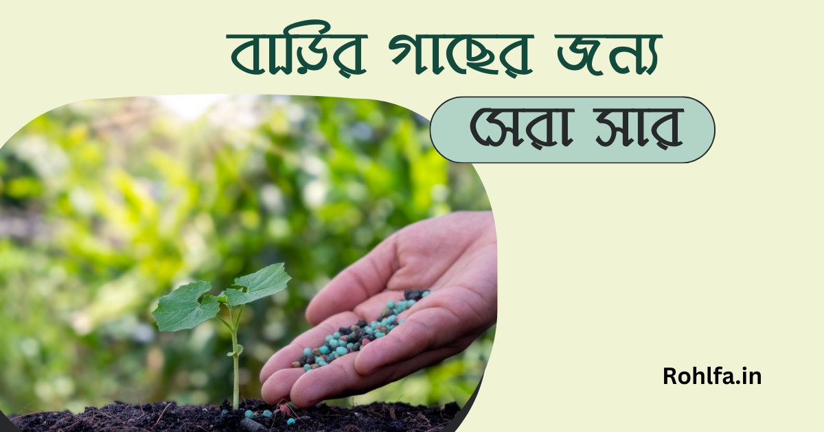 বাড়ির গাছের জন্য সেরা সার Best Fertilizer For House Plants